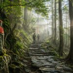 Kumano Kodo (熊野古道) Pilgrimage Guide for Sacred Japan