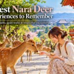 8 Best Nara Deer Experiences to Remember