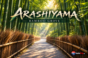 Arashiyama-Bamboo-Grove-InstaTrip-small-logo