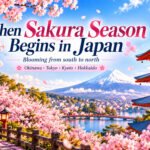 When Does Cherry Blossom Start in Japan?